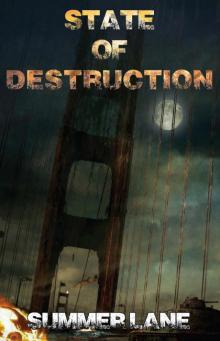 Collapse Series (Book 7): State of Destruction