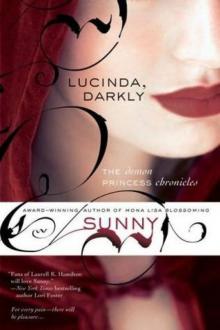 Demon Princess Chronicles 01: Lucinda, Darkly Demon Princess Chronicles 01: Lucinda, Darkly
