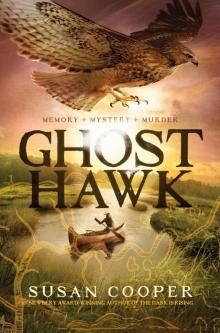 Ghost Hawk Ghost Hawk