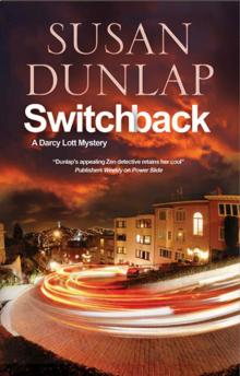Switchback: A San Francisco Mystery (A Darcy Lott Mystery)