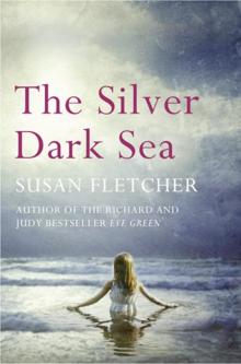 The Silver Dark Sea The Silver Dark Sea