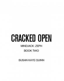 Cracked Open