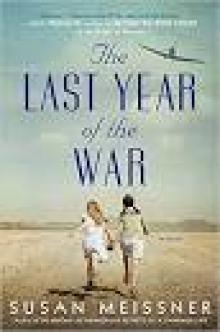 The Last Year of the War