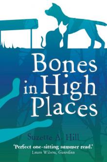 Bones in High Places