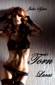 Torn: Caught between the Billionaires, Book 1: Lucas Torn: Caught between the Billionaires, Book 1: Lucas