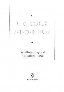 T. C. Boyle Stories