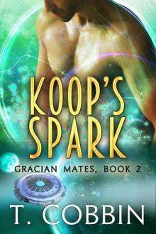 Koop's Spark
