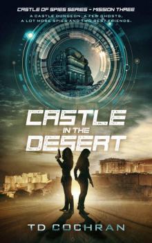 Castle in the Desert