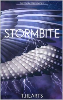 Stormbite (The Storm Series Book 1) Stormbite (The Storm Series Book 1)