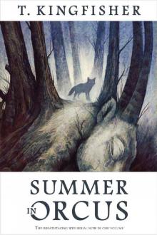 Summer in Orcus Summer in Orcus