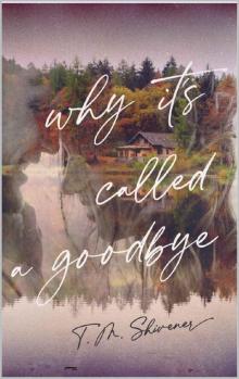 Why It's Called a Goodbye Why It's Called a Goodbye