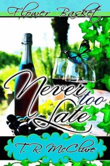 Never Too Late Never Too Late