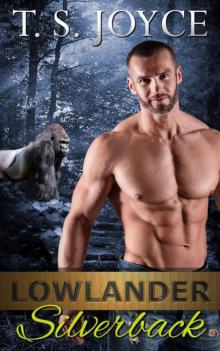 Lowlander Silverback Lowlander Silverback