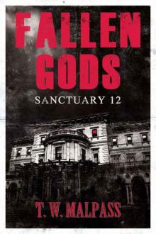 Sanctuary 12 (Fallen Gods Saga)