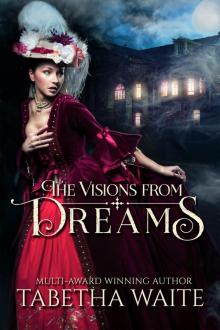 The Visions From Dreams The Visions From Dreams