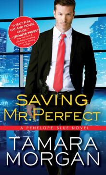 Saving Mr. Perfect Saving Mr. Perfect