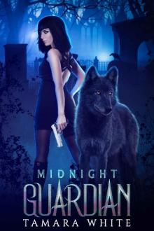 Midnight Guardian Midnight Guardian