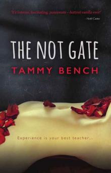The Not Gate (Tom and Alice #1) The Not Gate (Tom and Alice #1)