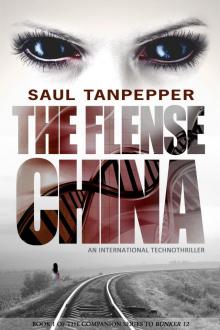 China: An International Thriller (The Flense Book 1)