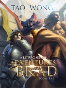 Adventures on Brad--Books 1--3
