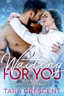 Waiting For You: A Holiday Romance