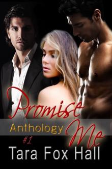 Promise Me Anthology Promise Me Anthology