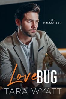 Love Bug Love Bug