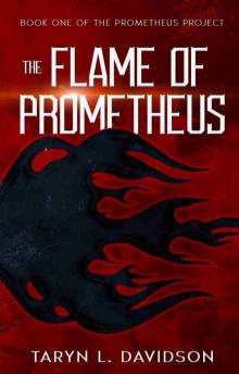The Flame of Prometheus (The Prometheus Project Book 1)