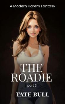 The Roadie (part 3): A Modern Harem Romance
