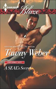 A SEAL's Secret