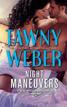Night Maneuvers