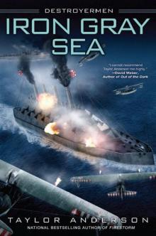 Iron Gray Sea - 07