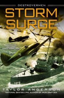 Storm Surge Storm Surge