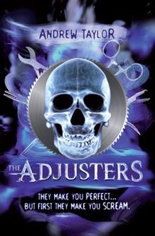The Adjusters The Adjusters