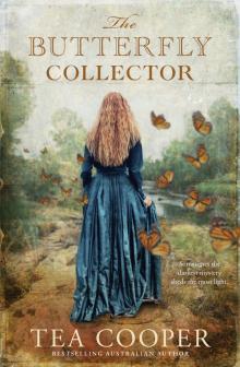 The Butterfly Collector The Butterfly Collector