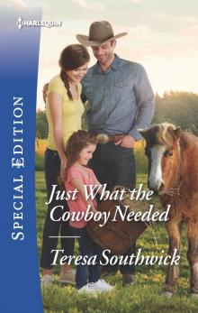 Just What the Cowboy Needed Just What the Cowboy Needed
