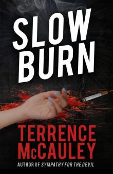 Slow Burn Slow Burn