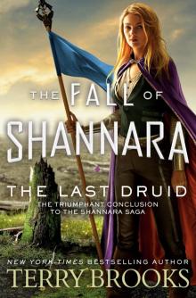 The Last Druid The Last Druid