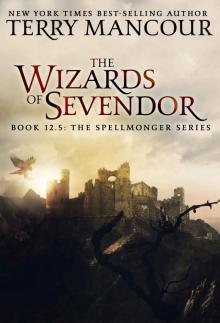 The Wizards of Sevendor: An Anthology