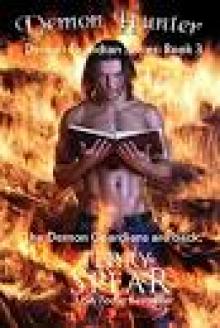 Demon Hunter: Demon Guardian Series Demon Hunter: Demon Guardian Series