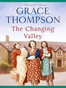 The Changing Valley The Changing Valley