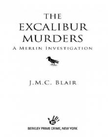 J. M. C. Blair_Merlin Investigation_01 J. M. C. Blair_Merlin Investigation_01