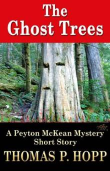 McKean S03 The Ghost Trees