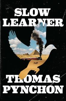Slow Learner Slow Learner