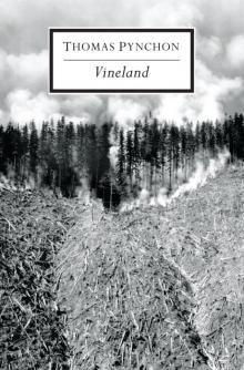Vineland Vineland