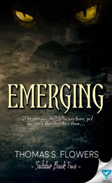 Emerging (Subdue Book 2) Emerging (Subdue Book 2)
