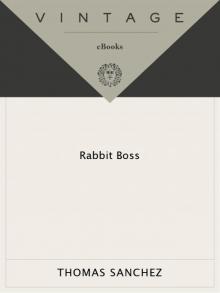 Rabbit Boss Rabbit Boss