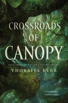 Crossroads of Canopy Crossroads of Canopy