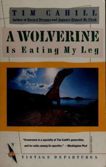 A wolverine is eating my leg