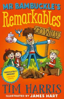 Mr Bambuckle's Remarkables Go Wild Mr Bambuckle's Remarkables Go Wild